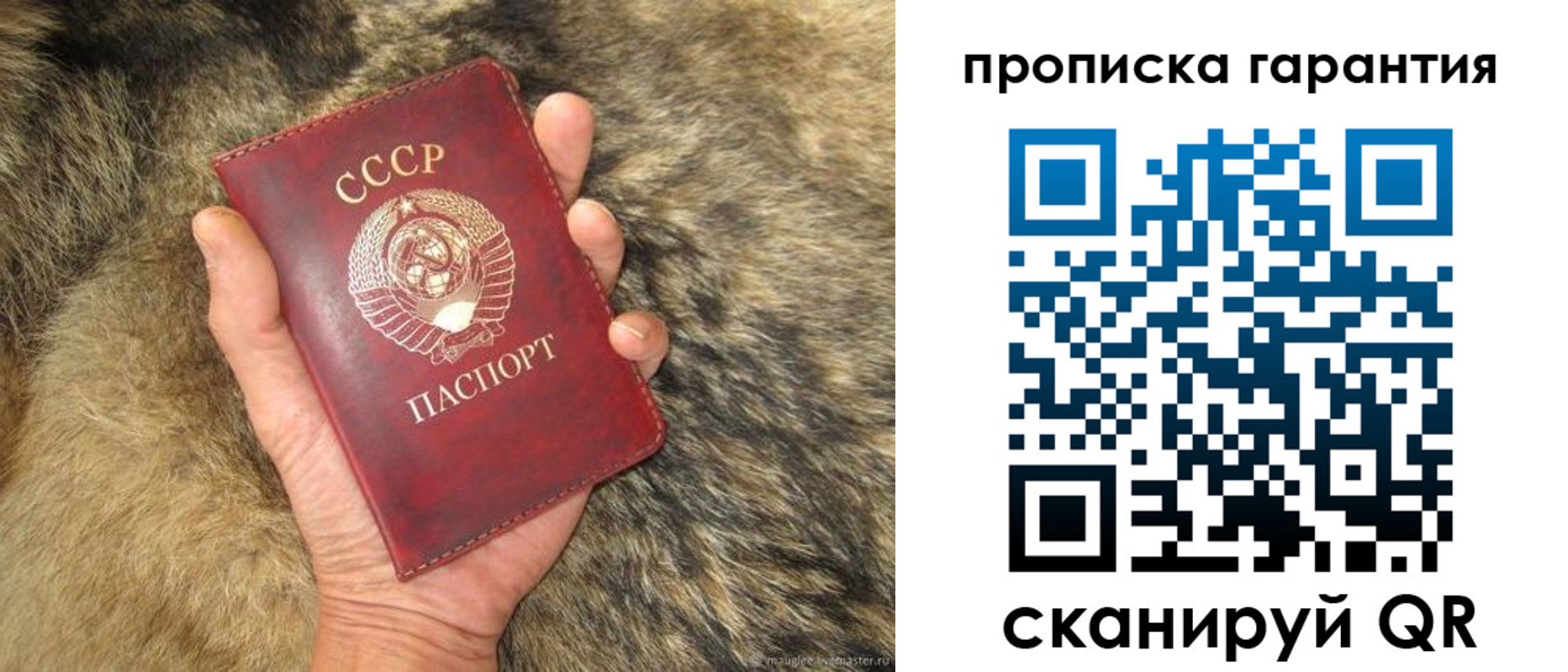 прописка паспорт в Электрогорске